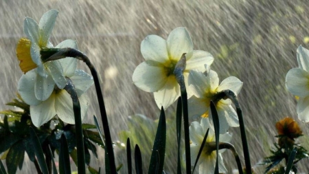 Prognoza meteo Maramureș, marți 31 martie 2026