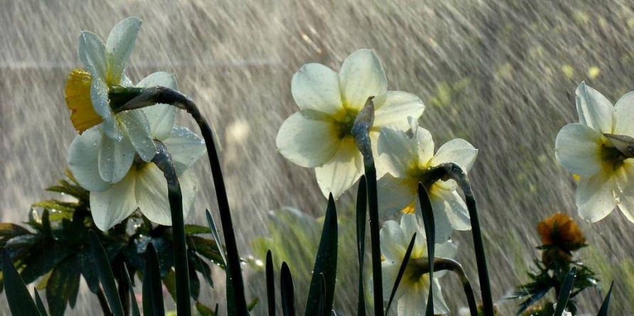 Prognoza meteo Maramureș, marți 31 martie 2026