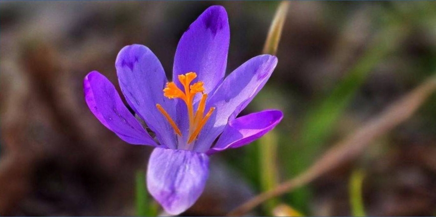 Prognoza meteo Maramureș, marți 10 martie 2026