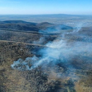 Incendii de vegetație în Maramureș și Satu Mare: intervenții dificile în zone greu accesibile