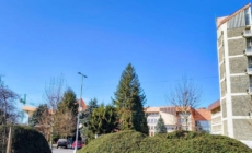 Prognoza meteo Maramureș, vineri 13 martie 2026