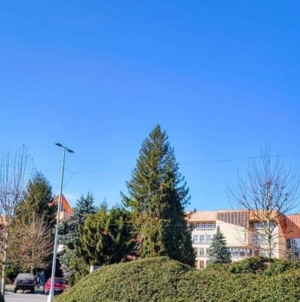 Prognoza meteo Maramureș, vineri 13 martie 2026