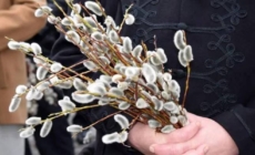 Catolicii din Maramureș sărbătoresc astăzi Duminica Floriilor