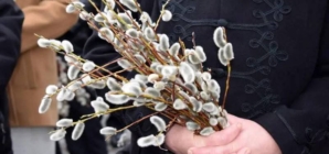 Catolicii din Maramureș sărbătoresc astăzi Duminica Floriilor