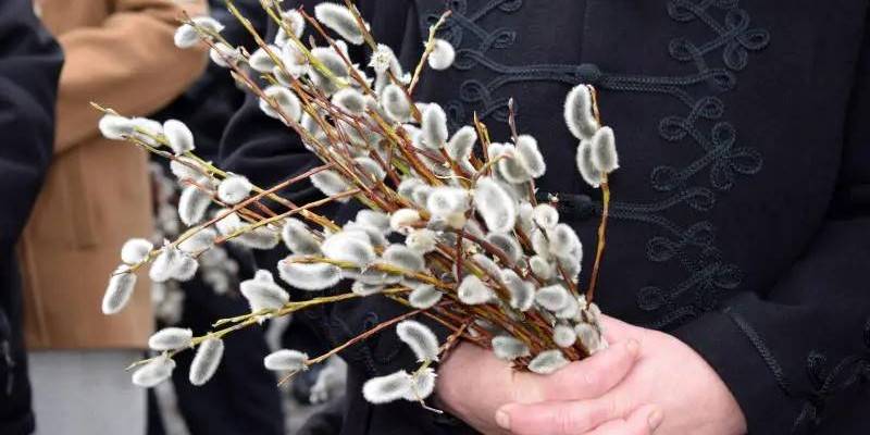 Catolicii din Maramureș sărbătoresc astăzi Duminica Floriilor