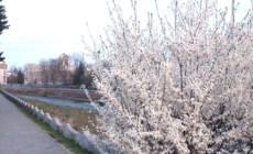 Prognoza meteo Maramureș, 27 martie 2026