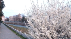 Prognoza meteo Maramureș, 27 martie 2026