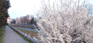 Prognoza meteo Maramureș, 27 martie 2026