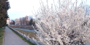 Prognoza meteo Maramureș, 27 martie 2026