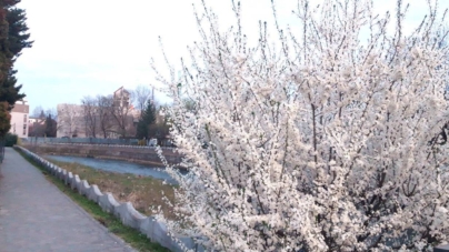 Prognoza meteo Maramureș, 27 martie 2026