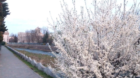 Prognoza meteo Maramureș, 27 martie 2026