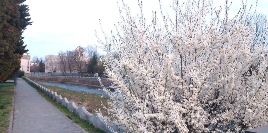 Prognoza meteo Maramureș, 27 martie 2026