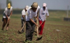 Poți obține pensie din munca casnică? Ce spune, de fapt, legea