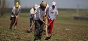 Poți obține pensie din munca casnică? Ce spune, de fapt, legea