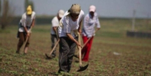 Poți obține pensie din munca casnică? Ce spune, de fapt, legea