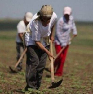 Poți obține pensie din munca casnică? Ce spune, de fapt, legea