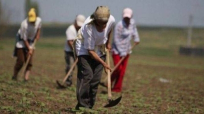 Poți obține pensie din munca casnică? Ce spune, de fapt, legea