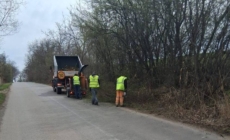 Acțiune de igienizare și toaletare a vegetației în Asuaju de Sus