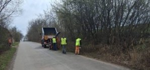 Acțiune de igienizare și toaletare a vegetației în Asuaju de Sus