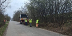 Acțiune de igienizare și toaletare a vegetației în Asuaju de Sus