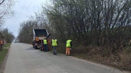 Acțiune de igienizare și toaletare a vegetației în Asuaju de Sus