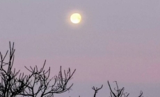 Prognoza meteo Maramureș, duminică 8 martie 2026