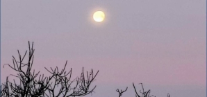 Prognoza meteo Maramureș, duminică 8 martie 2026