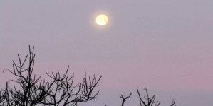 Prognoza meteo Maramureș, duminică 8 martie 2026