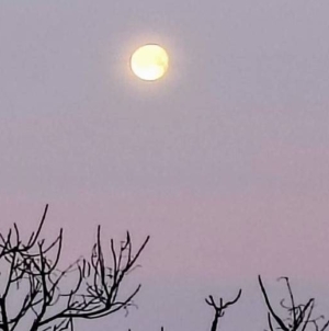 Prognoza meteo Maramureș, duminică 8 martie 2026