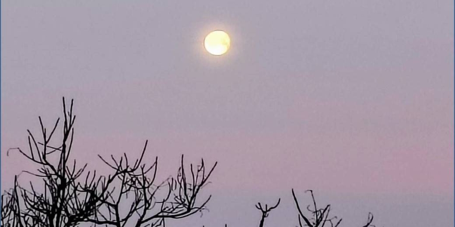 Prognoza meteo Maramureș, duminică 8 martie 2026