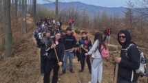 Ediția a XI-a Rotary Plantează: voluntarii au dat viață unui nou colț de pădure