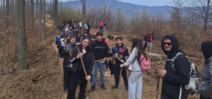 Ediția a XI-a Rotary Plantează: voluntarii au dat viață unui nou colț de pădure