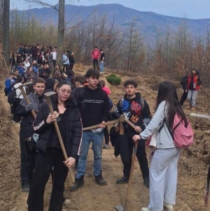 Ediția a XI-a Rotary Plantează: voluntarii au dat viață unui nou colț de pădure