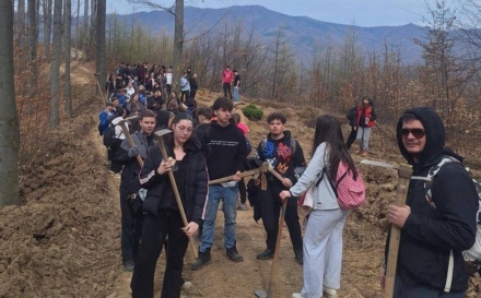 Ediția a XI-a Rotary Plantează: voluntarii au dat viață unui nou colț de pădure