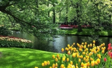 Echinocțiul de primăvară, 20 martie 2026