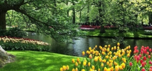 Echinocțiul de primăvară, 20 martie 2026