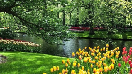 Echinocțiul de primăvară, 20 martie 2026