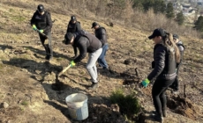 Ziua Poliției Române: dincolo de uniformă, grijă pentru comunitate