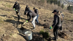 Ziua Poliției Române: dincolo de uniformă, grijă pentru comunitate