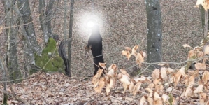 Poveste tristă din Cupșeni, au spânzurat câinele