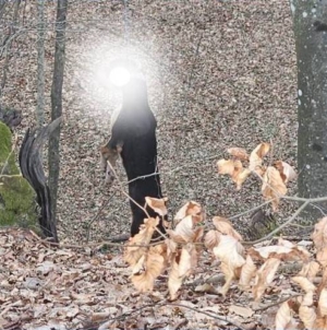 Poveste tristă din Cupșeni, au spânzurat câinele