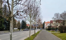 Prognoza meteo Maramureș, joi 19 martie 2026