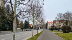 Prognoza meteo Maramureș, joi 19 martie 2026