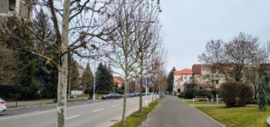 Prognoza meteo Maramureș, joi 19 martie 2026