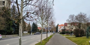 Prognoza meteo Maramureș, joi 19 martie 2026