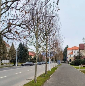 Prognoza meteo Maramureș, joi 19 martie 2026