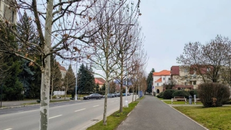 Prognoza meteo Maramureș, joi 19 martie 2026