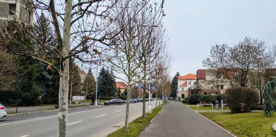 Prognoza meteo Maramureș, joi 19 martie 2026