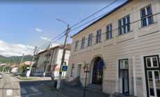 Baia Sprie devine centrul artelor vizuale: Expoziție de anvergură a artiștilor plastici din Satu Mare