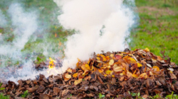 Arderea deșeurilor este interzisă pe raza orașului Tăuții-Măgherăuș